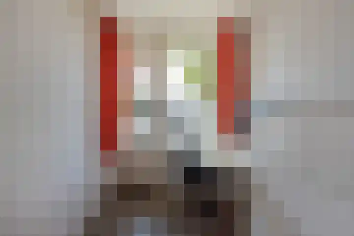 Schout Van Eijklaan 2 Leidschendam thumbnail 18