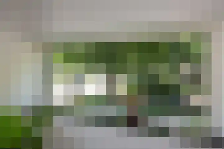 Schout Van Eijklaan 2 Leidschendam thumbnail 4