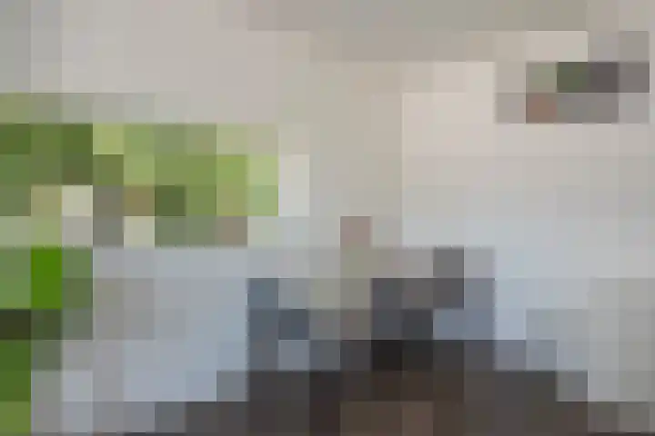Schout Van Eijklaan 2 Leidschendam thumbnail 5