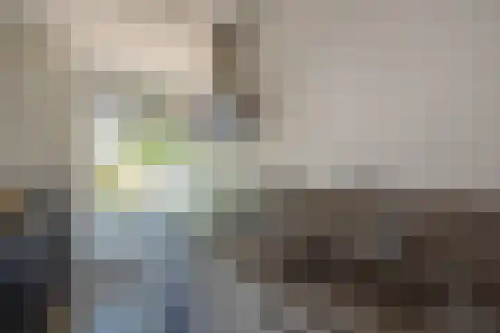 Schout Van Eijklaan 2 Leidschendam thumbnail 8