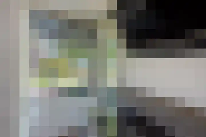 Schout Van Eijklaan 2 Leidschendam thumbnail 9