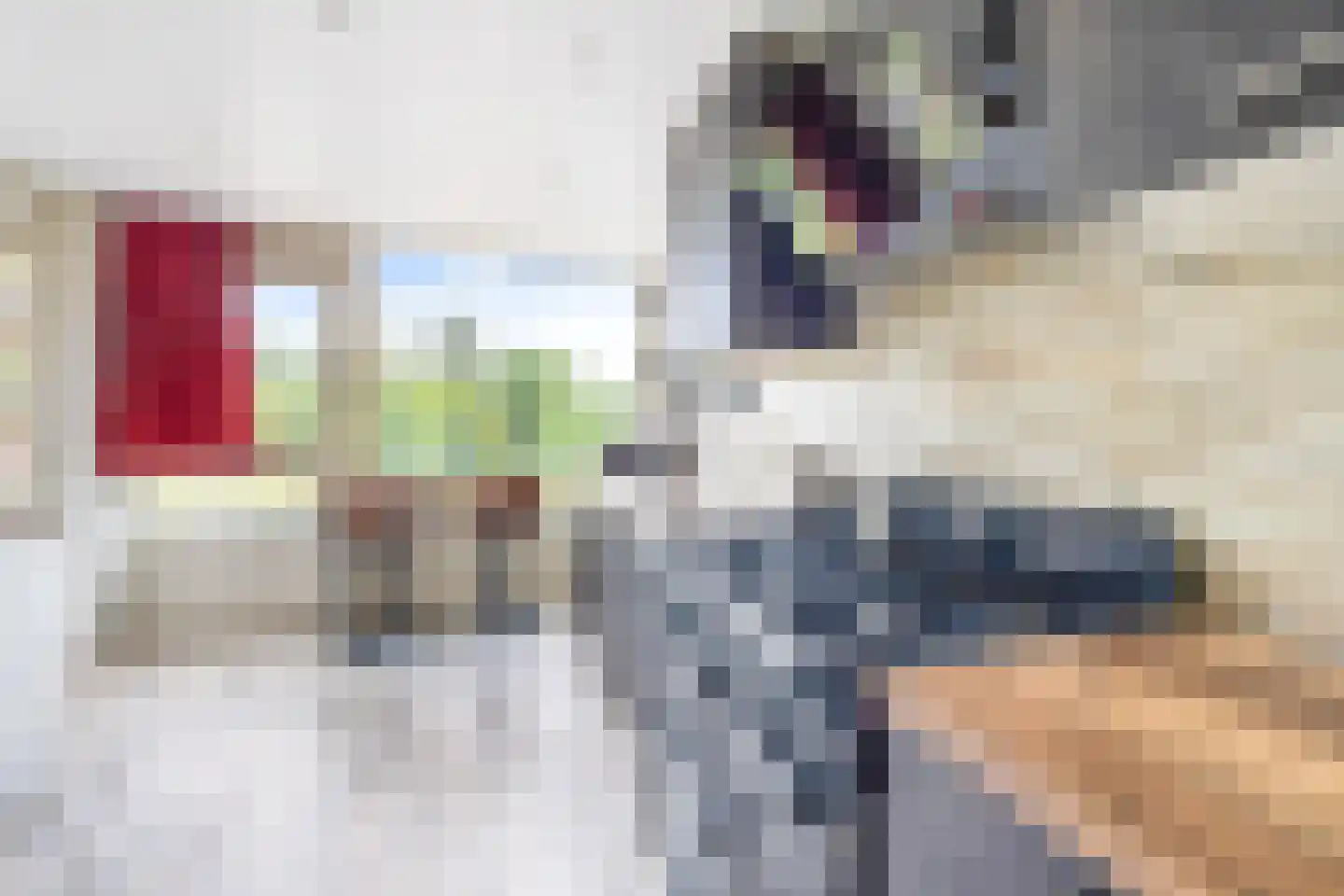 Schout Van Eijklaan 207 Leidschendam thumbnail 13