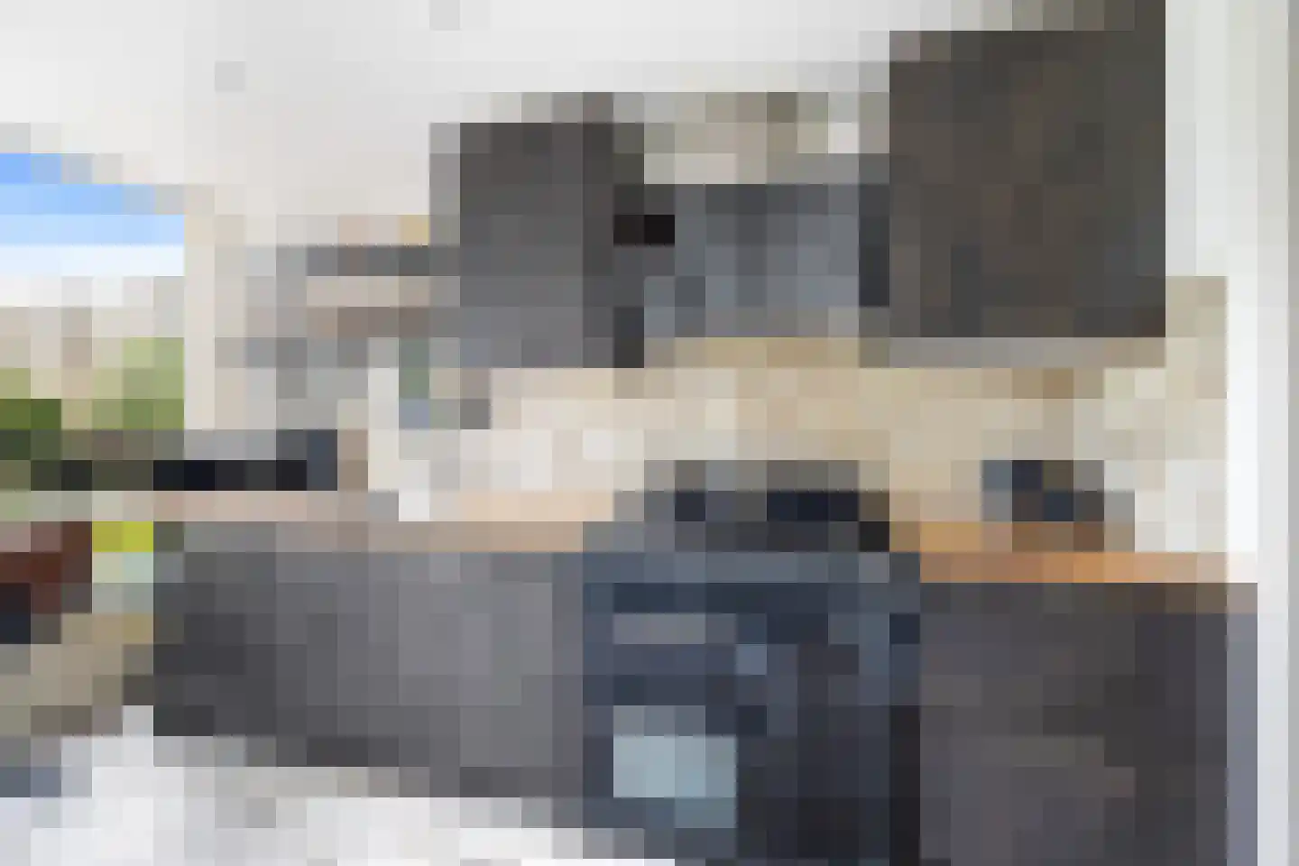 Schout Van Eijklaan 207 Leidschendam thumbnail 14
