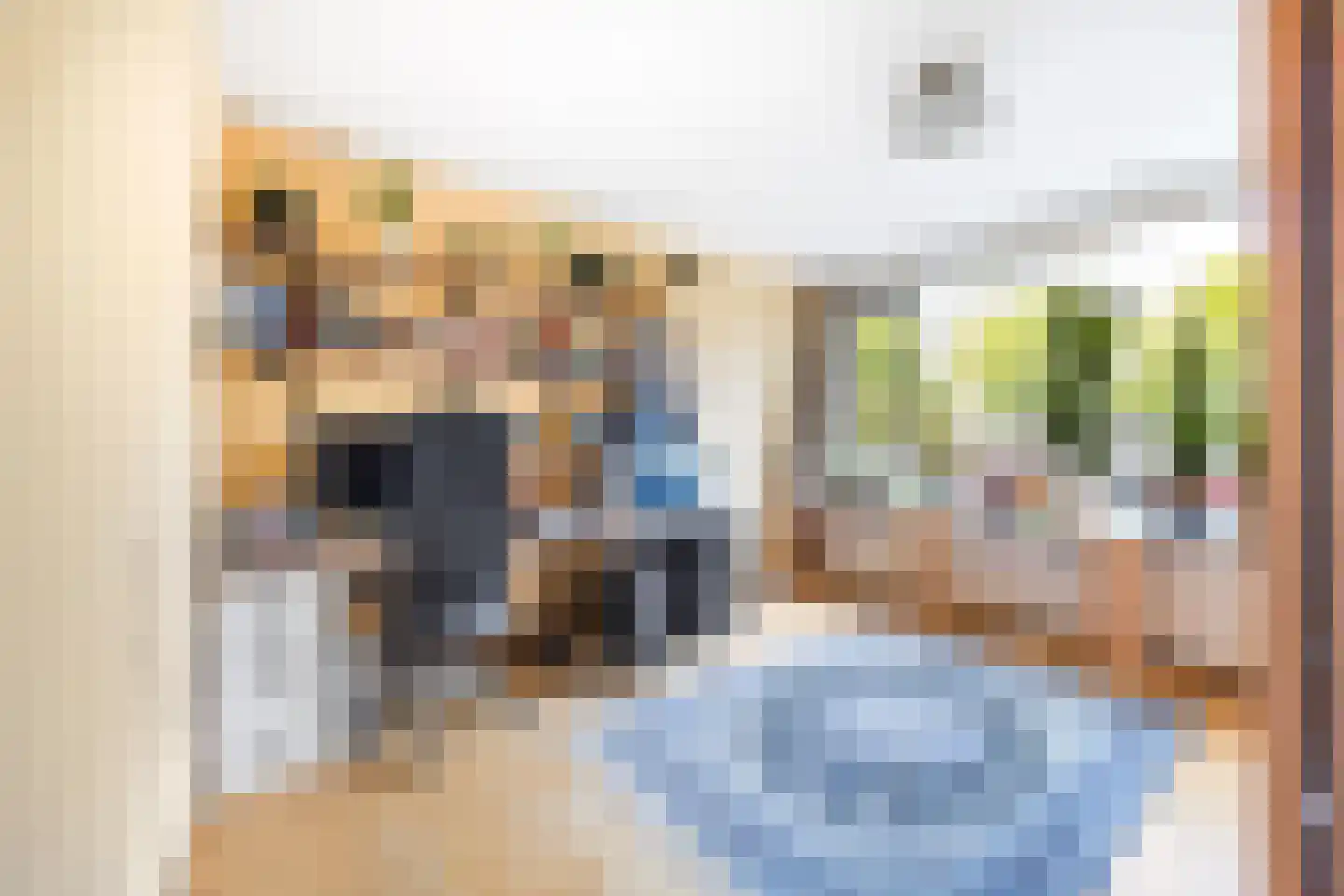 Schout Van Eijklaan 207 Leidschendam thumbnail 21