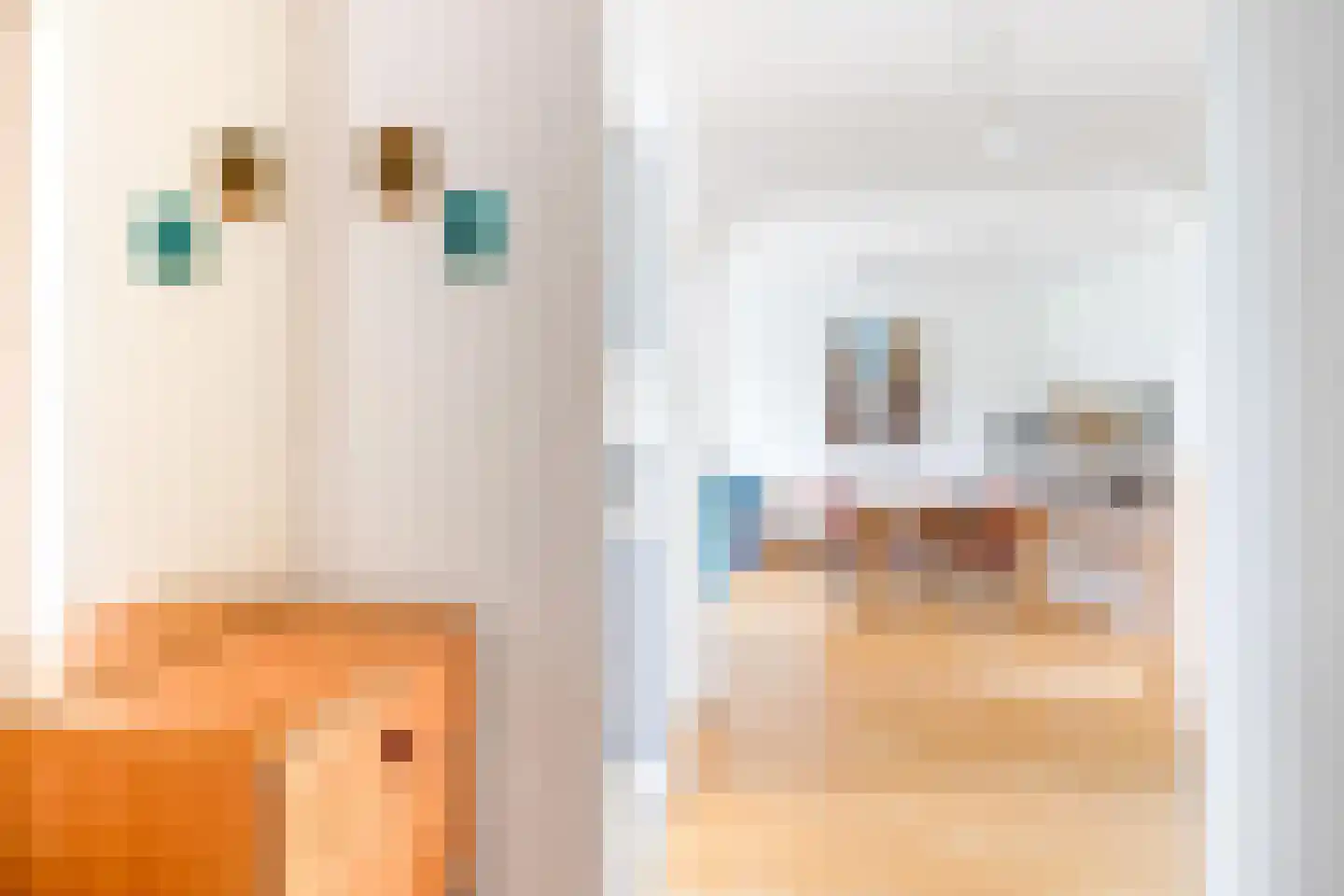 Schout Van Eijklaan 207 Leidschendam thumbnail 8