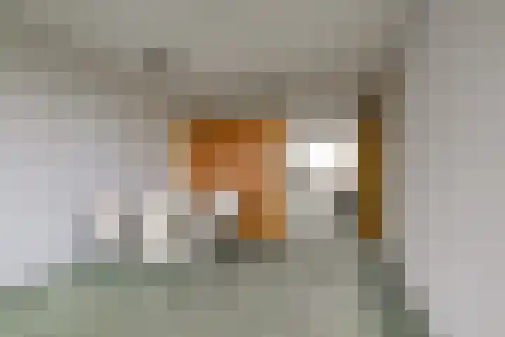 Schout Van Eijklaan 217 Leidschendam thumbnail 11