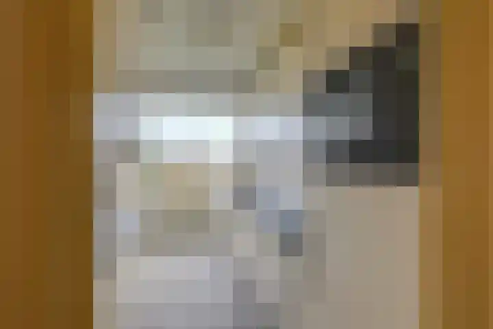 Schout Van Eijklaan 217 Leidschendam thumbnail 12