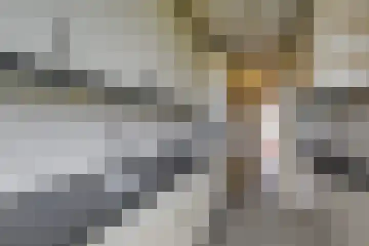 Schout Van Eijklaan 217 Leidschendam thumbnail 13