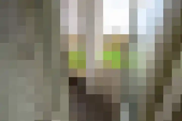 Schout Van Eijklaan 217 Leidschendam thumbnail 15