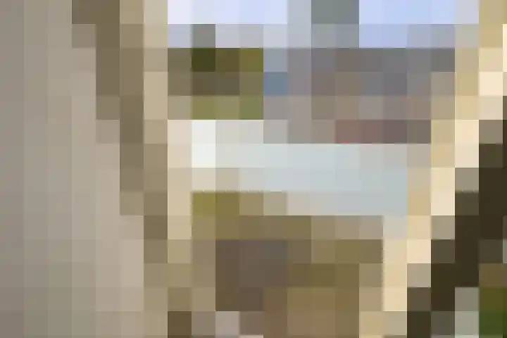 Schout Van Eijklaan 217 Leidschendam thumbnail 18