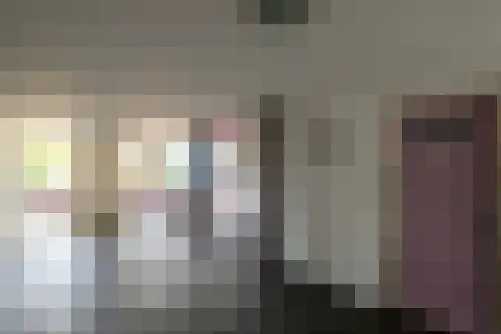 Schout Van Eijklaan 217 Leidschendam thumbnail 7