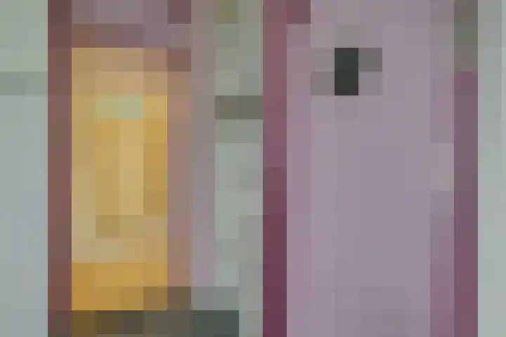 Schout Van Eijklaan 217 Leidschendam thumbnail 8