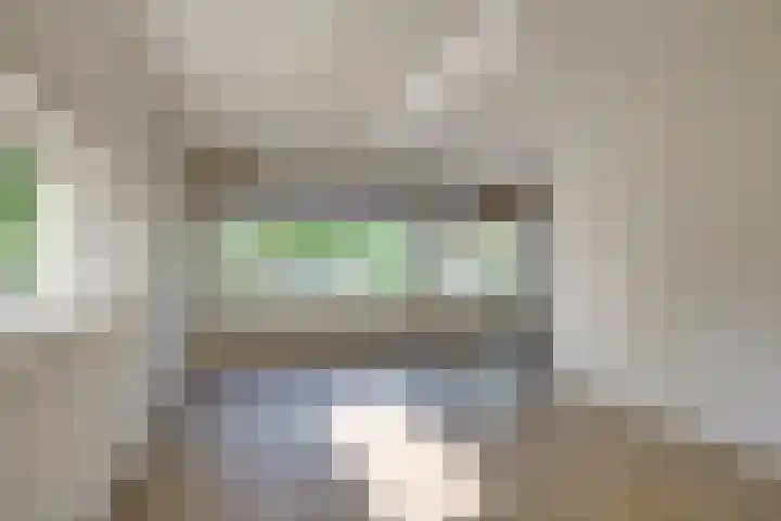 Schout Van Eijklaan 240 Leidschendam thumbnail 10