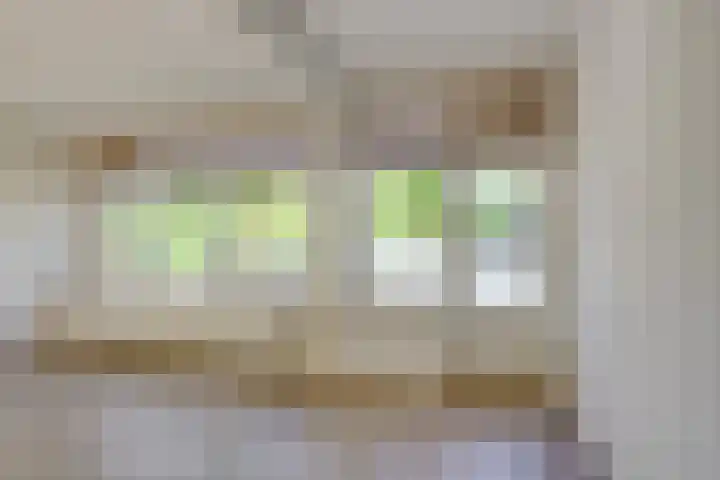 Schout Van Eijklaan 240 Leidschendam thumbnail 11