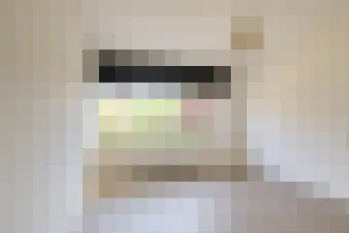 Schout Van Eijklaan 240 Leidschendam thumbnail 14
