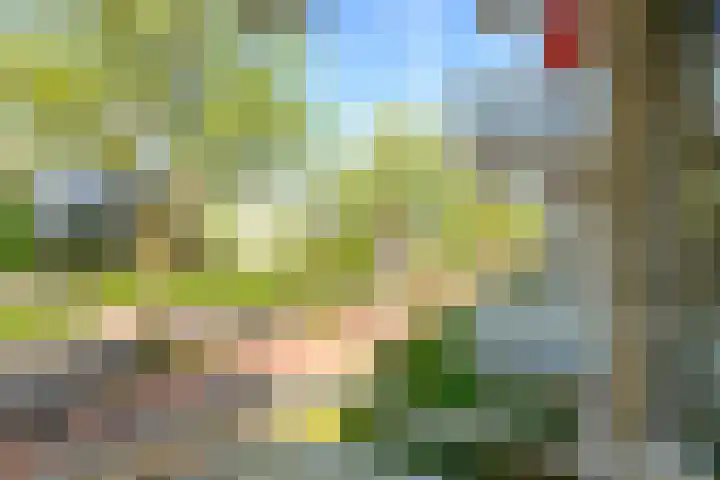 Schout Van Eijklaan 240 Leidschendam thumbnail 15