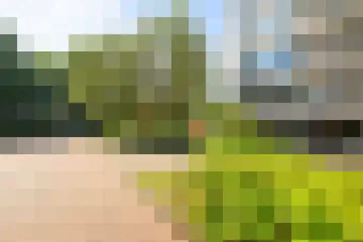 Schout Van Eijklaan 240 Leidschendam thumbnail 5