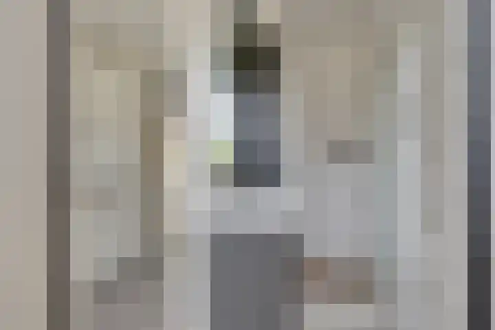 Schout Van Eijklaan 240 Leidschendam thumbnail 6