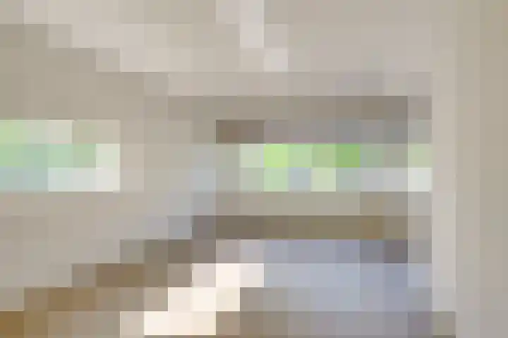 Schout Van Eijklaan 240 Leidschendam thumbnail 9
