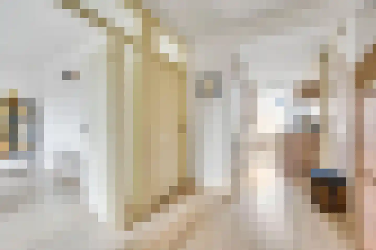 Schout Van Eijklaan 5 Leidschendam thumbnail 11