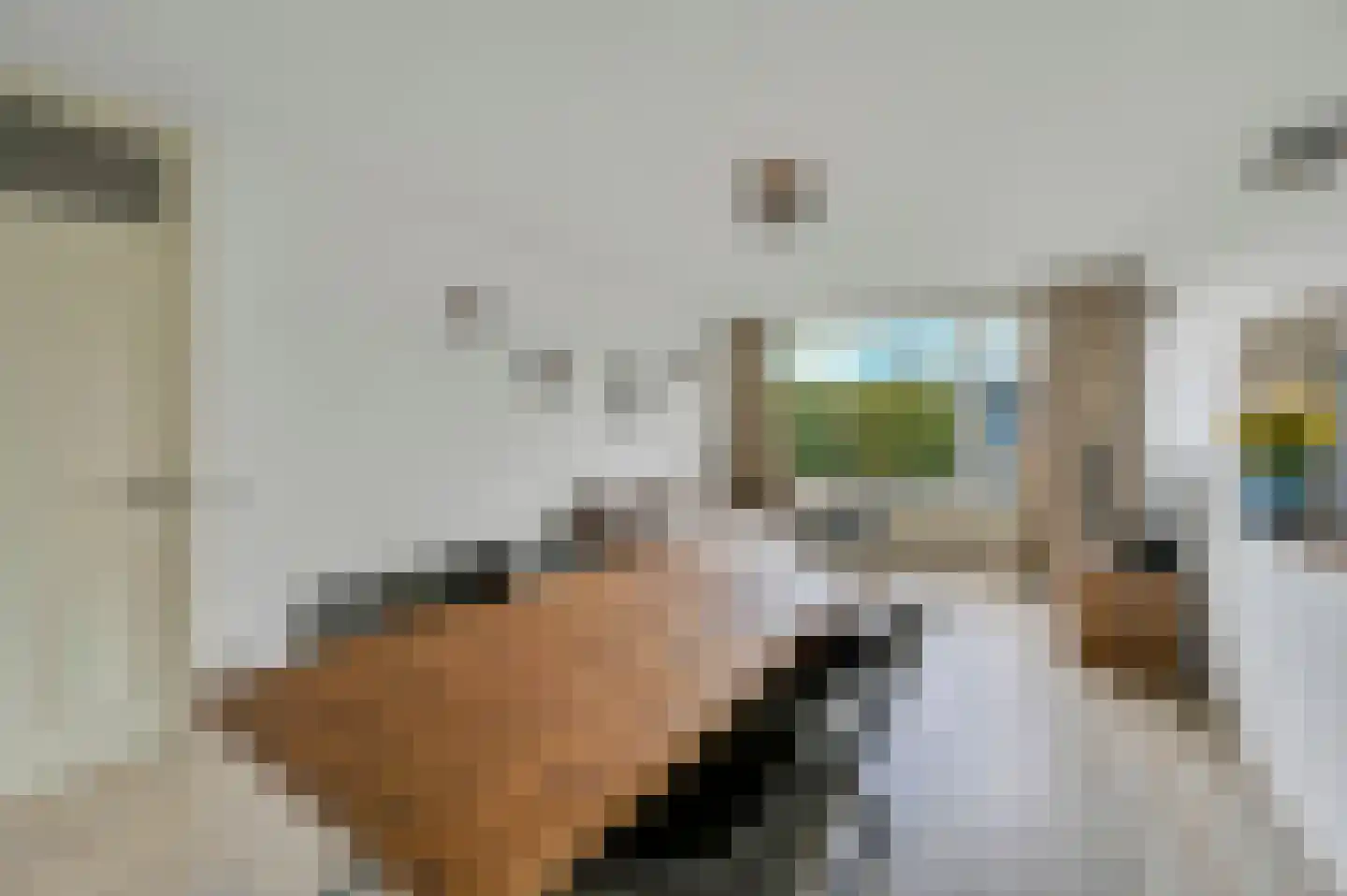 Schout Van Eijklaan 5 Leidschendam thumbnail 12