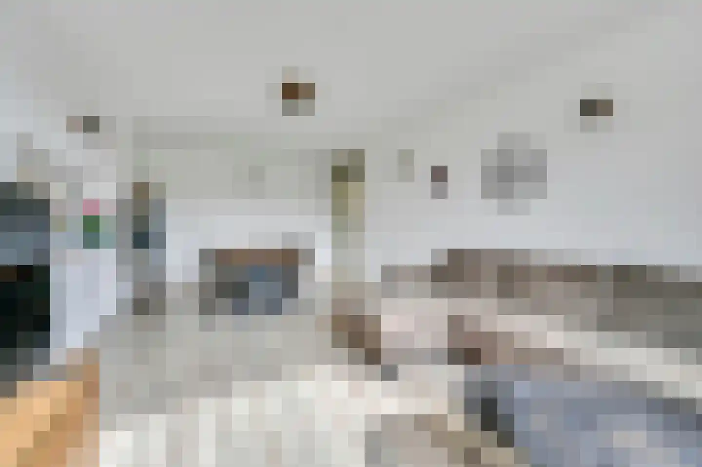Schout Van Eijklaan 5 Leidschendam thumbnail 14
