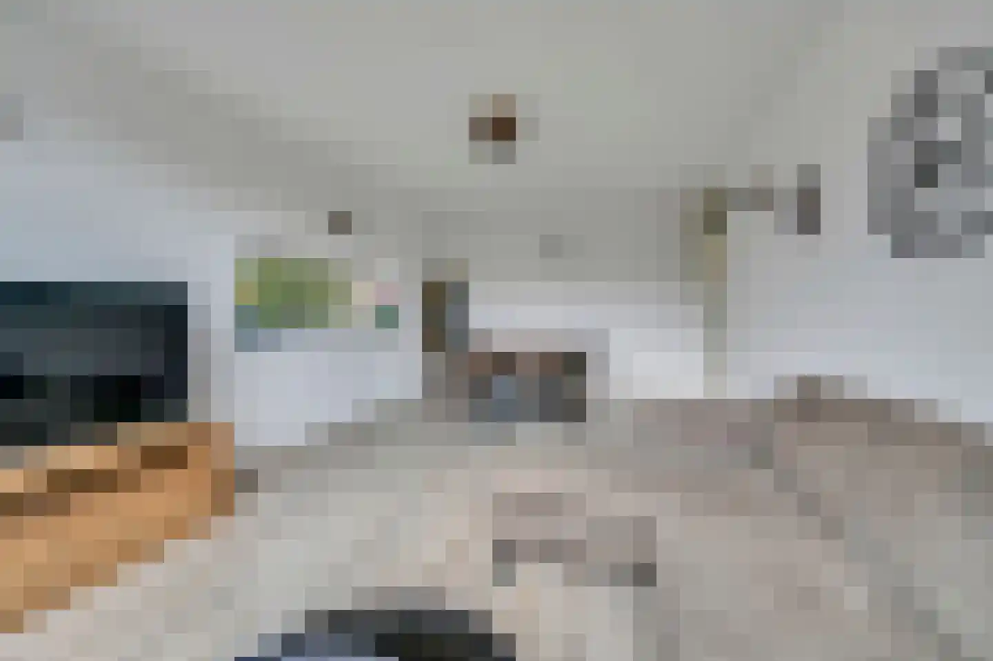 Schout Van Eijklaan 5 Leidschendam thumbnail 15