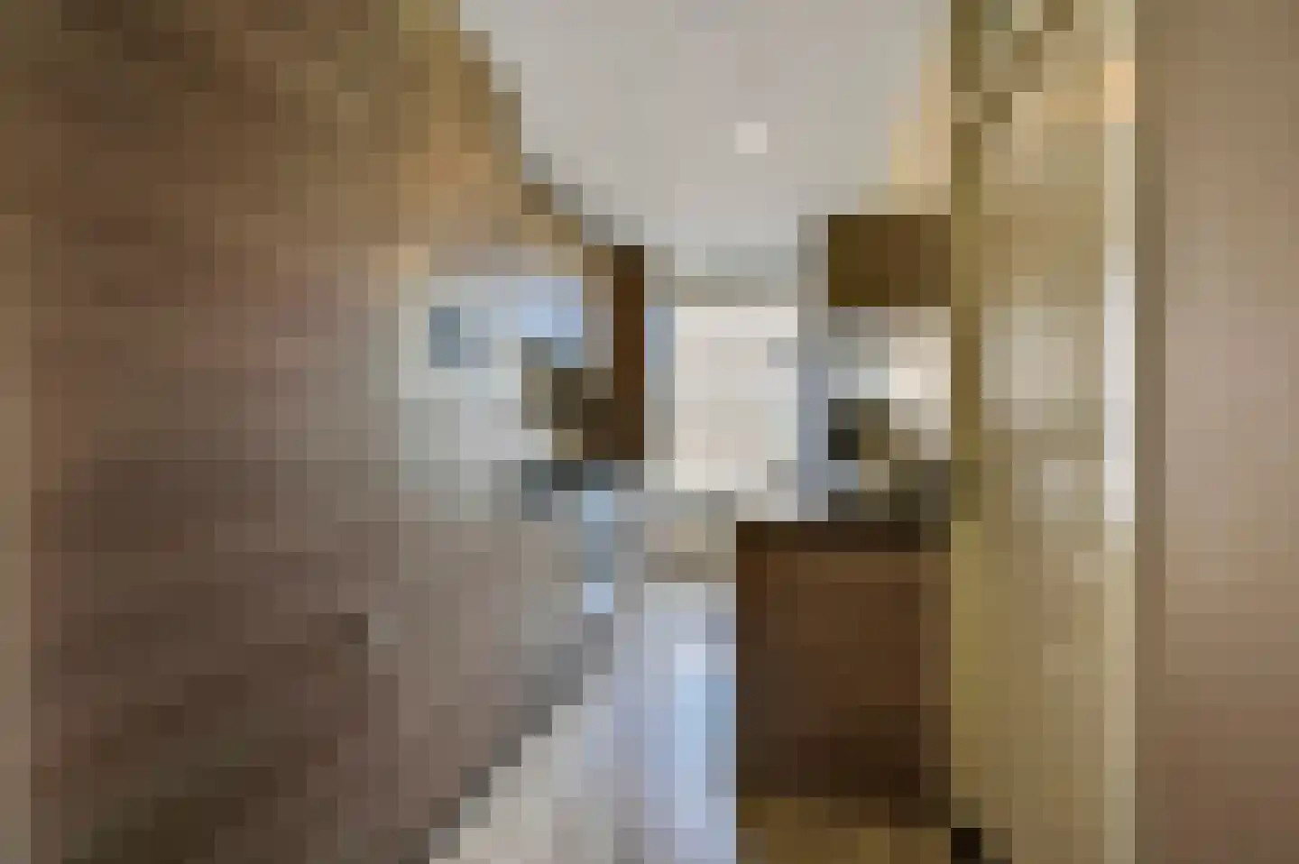 Schout Van Eijklaan 5 Leidschendam thumbnail 17