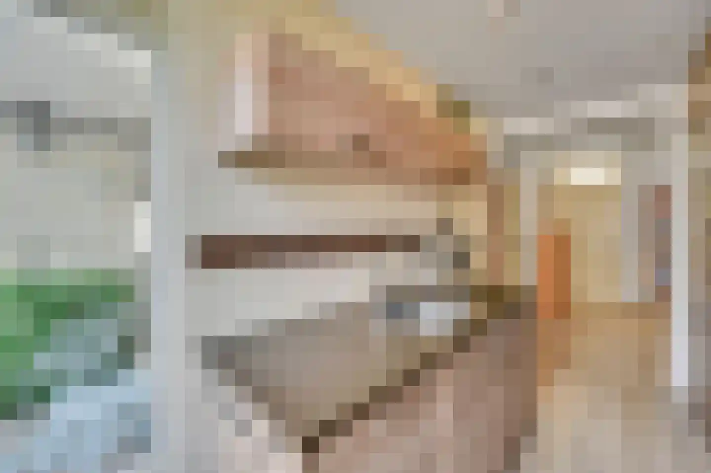 Schout Van Eijklaan 5 Leidschendam thumbnail 18