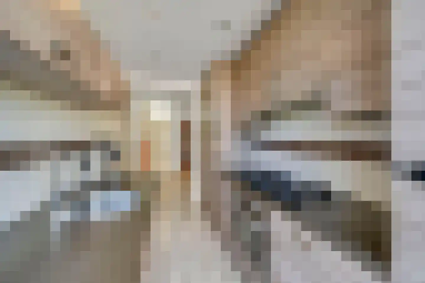 Schout Van Eijklaan 5 Leidschendam thumbnail 19