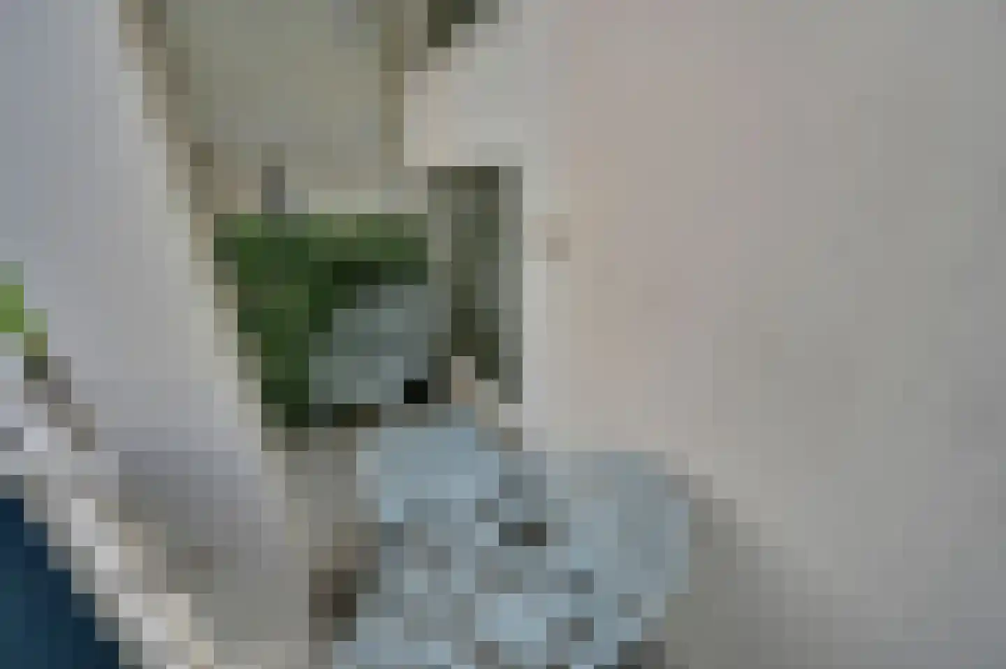 Schout Van Eijklaan 5 Leidschendam thumbnail 22