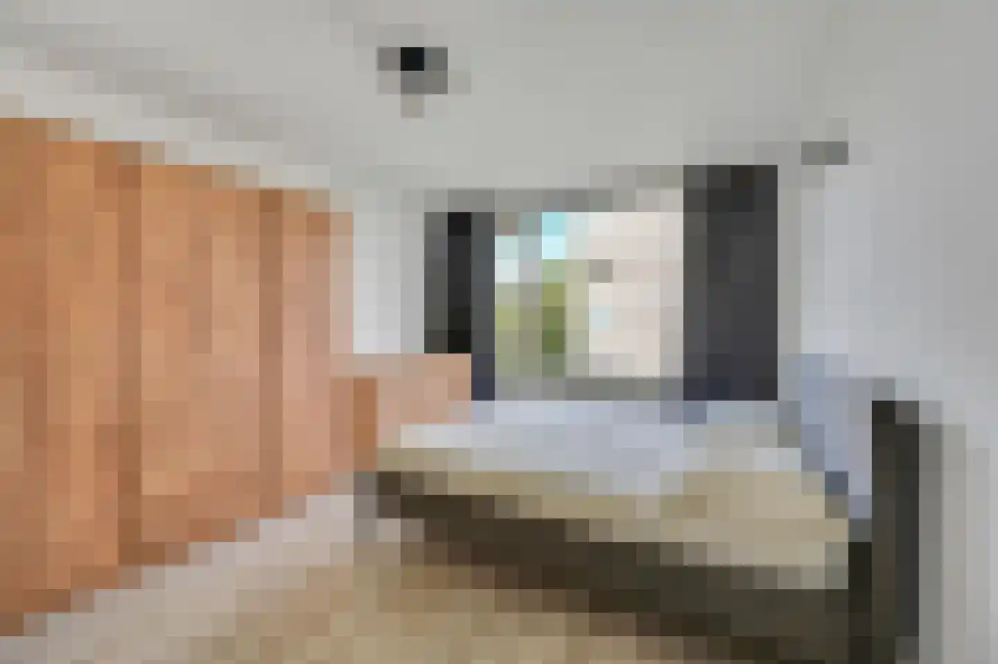Schout Van Eijklaan 5 Leidschendam thumbnail 24