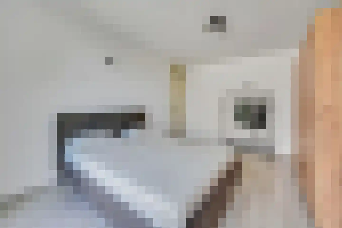 Schout Van Eijklaan 5 Leidschendam thumbnail 26