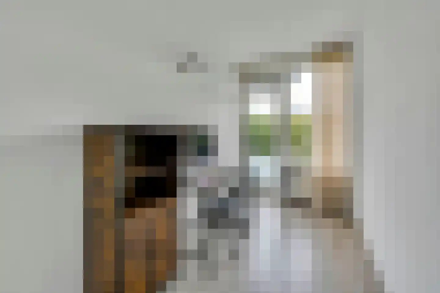 Schout Van Eijklaan 5 Leidschendam thumbnail 31