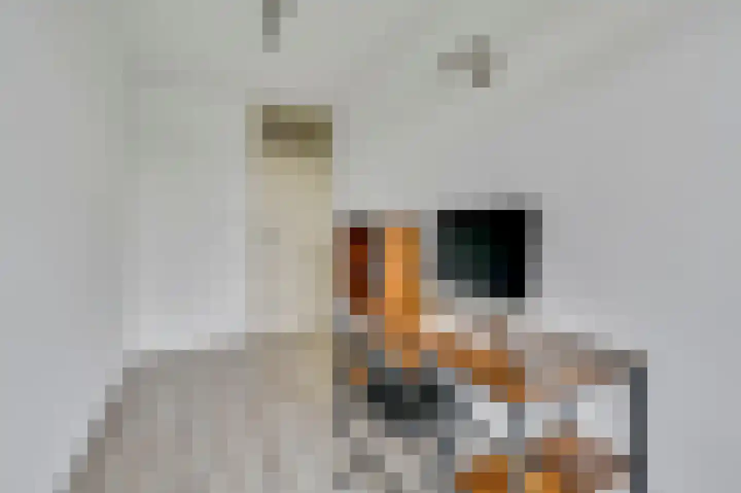 Schout Van Eijklaan 5 Leidschendam thumbnail 32