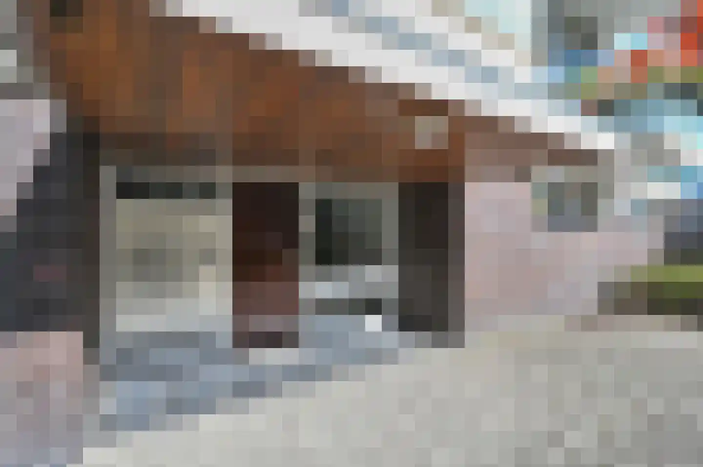 Schout Van Eijklaan 5 Leidschendam thumbnail 6