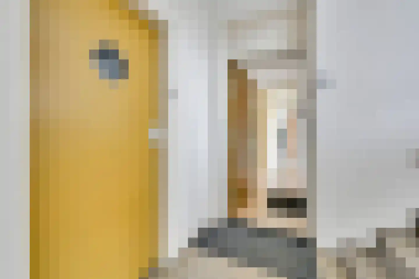 Schout Van Eijklaan 5 Leidschendam thumbnail 7