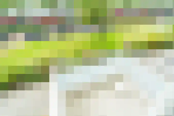 Schout Van Eijklaan 79 Leidschendam thumbnail 14