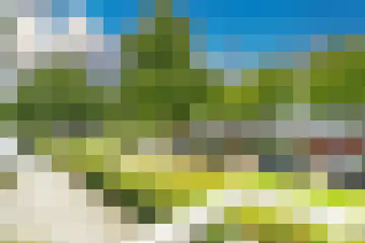 Schout Van Eijklaan 79 Leidschendam thumbnail 4