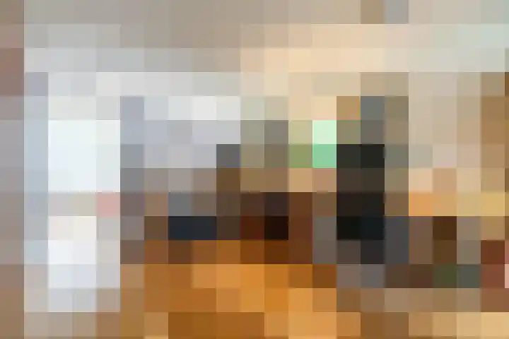 Schout Van Eijklaan 79 Leidschendam thumbnail 8