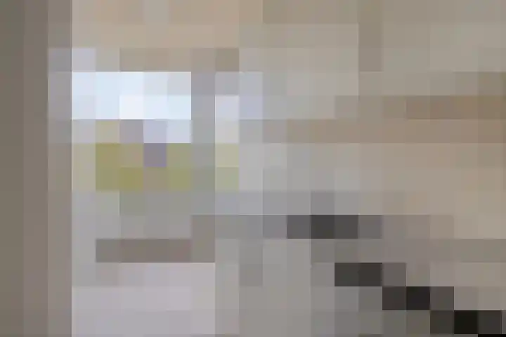 Schout Van Eijklaan 86 Leidschendam thumbnail 15