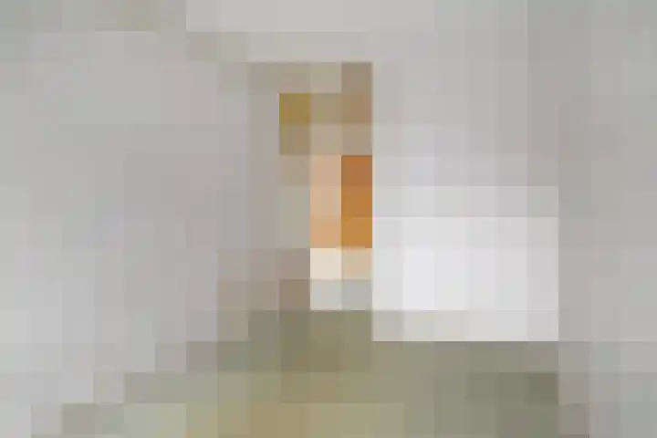 Schout Van Eijklaan 86 Leidschendam thumbnail 22