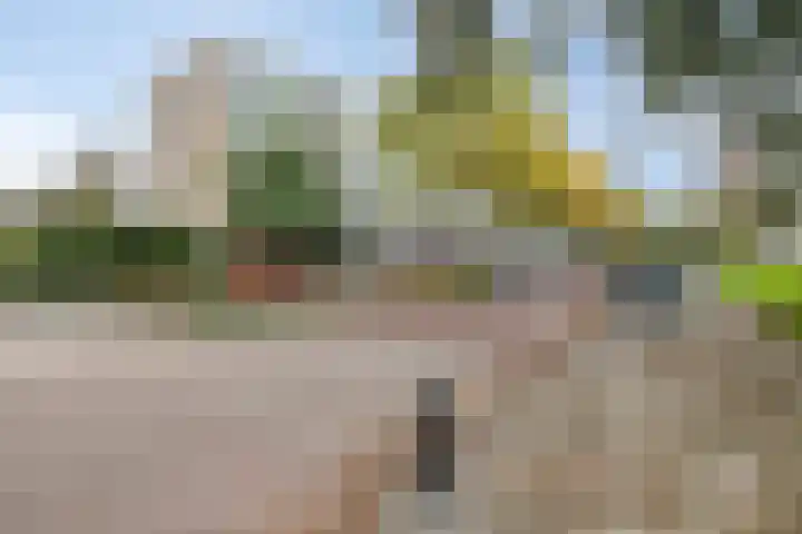 Schout Van Eijklaan 86 Leidschendam thumbnail 24