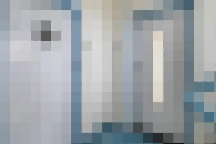 Schout Van Eijklaan 86 Leidschendam thumbnail 4