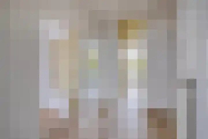 Schout Van Eijklaan 86 Leidschendam thumbnail 7