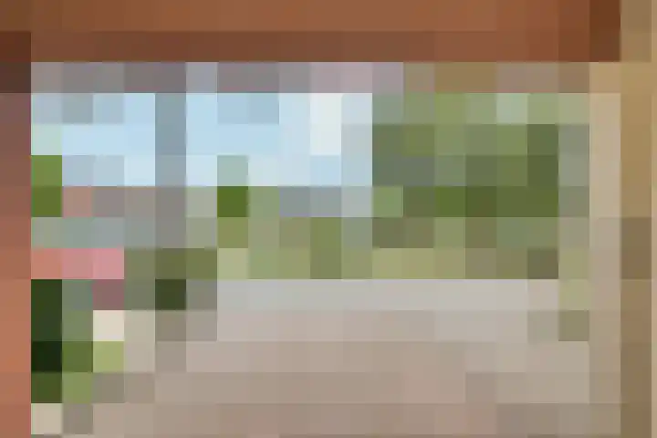 Schout van Gramsbergensingel 61 's-Hertogenbosch thumbnail 13