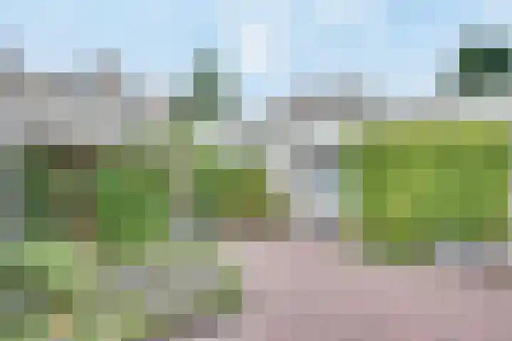 Schout van Gramsbergensingel 61 's-Hertogenbosch thumbnail 17