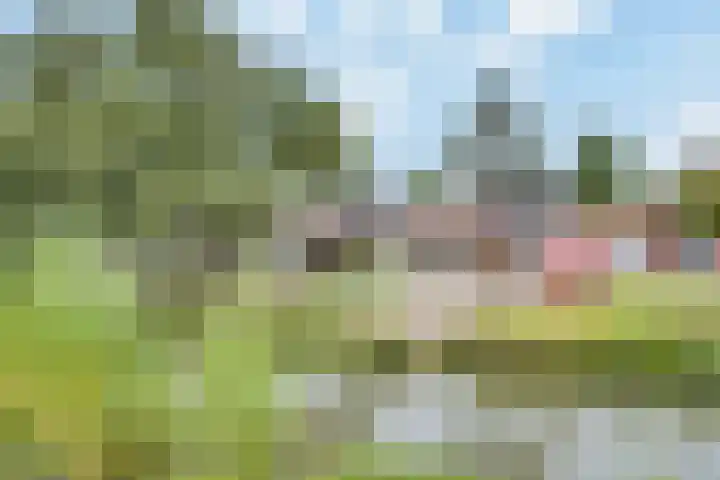 Schout van Gramsbergensingel 61 's-Hertogenbosch thumbnail 20