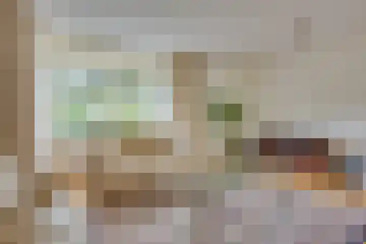 Schout van Gramsbergensingel 61 's-Hertogenbosch thumbnail 6