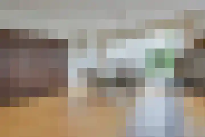 Schout van Gramsbergensingel 61 's-Hertogenbosch thumbnail 7